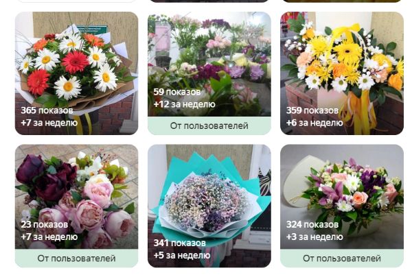 Статистика по фото в Яндекс Бизнес